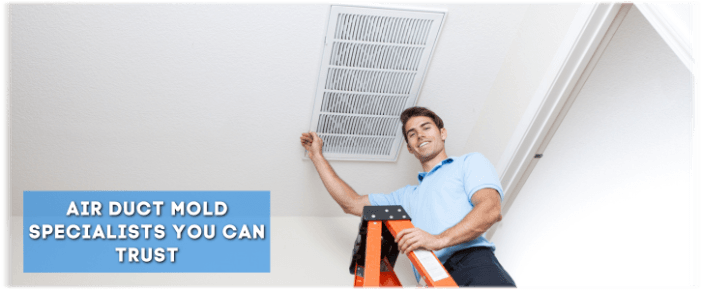 Air Duct Mold Removal in Middletown NJ