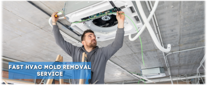 HVAC Mold Removal Middletown NJ